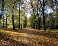 parks-and-walks