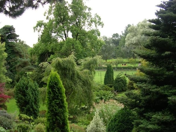 Fletcher Moss Park & Parsonage Gardens