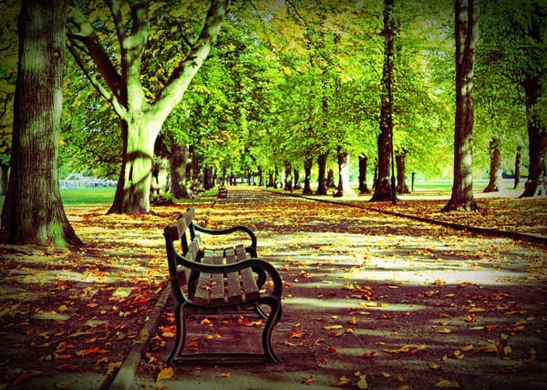 Longford Park