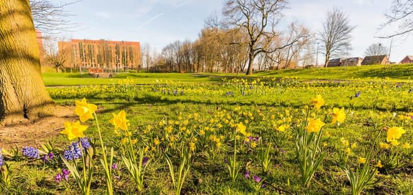 Peel Park