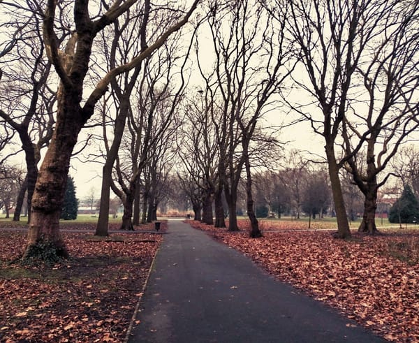 Whitworth Park