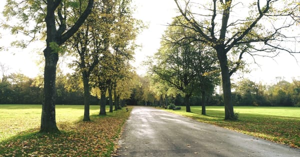 Platt Fields Park