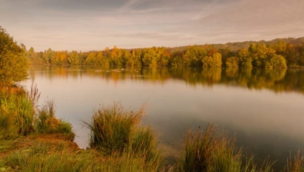 Clifton Country Park