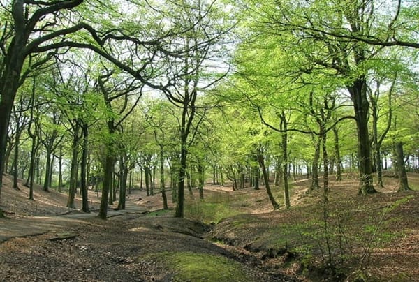 Tandle Hill