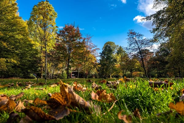 Marie Louise Gardens