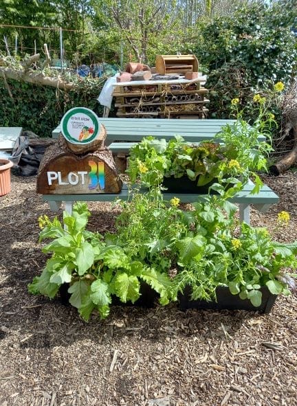 Organic Gardening Workshops