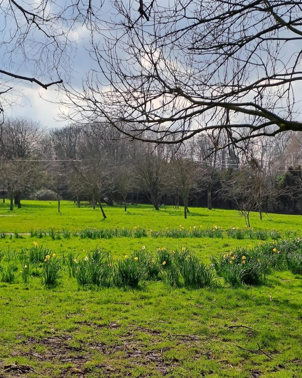 Wythenshawe Park