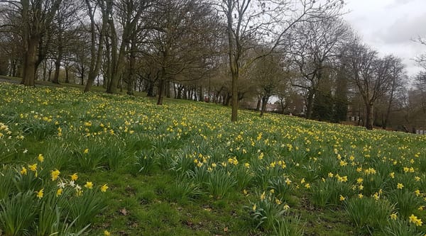 Buile Hill Park