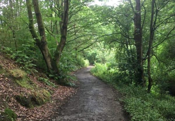 Alkrington Woods