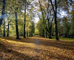parks-and-walks